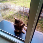 BEŻOWA PIASKOWA 28x28 mm, grubość 1.1 mm