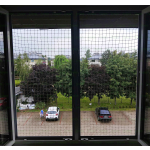 Kocia siatka na okno