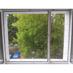 Siatki zabezpieczające dla kotów na okno