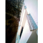 Montaż kolców na ptaki Warszawa