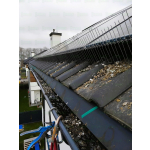 Kolce przeciw ptakom na fotowoltaike Montaż Warszawa