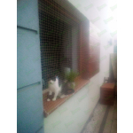 SIATKI DLA KOTÓW NA OKNIE WARSZAWA