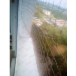 SIATKA OKIENNA DLA KOTA Warszawa