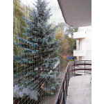 Kocia siatka Warszawa