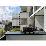 Montaż siatki dla kota bez wiercenia cena