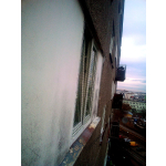 MONTAŻ SIATKI OKIENNEJ DLA KOTA WARSZAWA