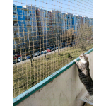 Siatki zabezpieczające dla kotów montaż Warszawa