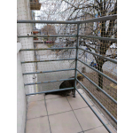 Siatki dla kotów Warszawa