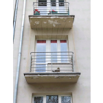 Założenie siatki dla kota Warszawa