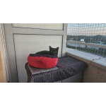 OCHRONA BALKONU DLA KOTA bez wiercenia Wyszków