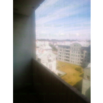 Kocie siatki Nasielsk