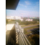 Siatka zabezpieczająca balkon dla kota bez wiercenia Ząbki