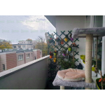 KOCIA SIATKA NA BALKON Ząbki