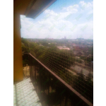 Siatkowanie balkonu dla kota Kobyłka