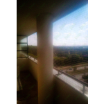 Kocie siatki Kobyłka