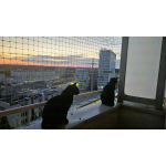 Ochrona balkonu przed kotem bez wiercenia Marki