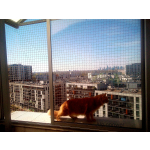 Montaż siatki ochronnej przeciw ptakom bez wiercenia Dla Kota Warszawa