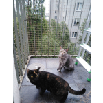 BEZINWAZYJNY MONTAŻ SIATKI BALKONOWEJ DLA KOTA Legionowo