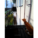 Siatki przeciw ptakom montaż BEZINWAZYJNY Warszawa